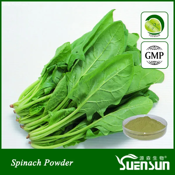 100% pure natural 1kg/bag organic spinach powder |