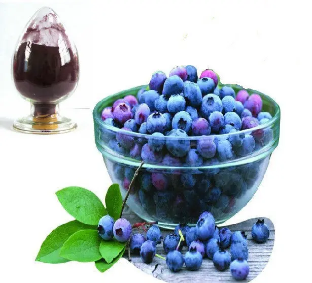 

Blueberry Extract Bulk Powder, 25% Anthocyanin 100 Grams
