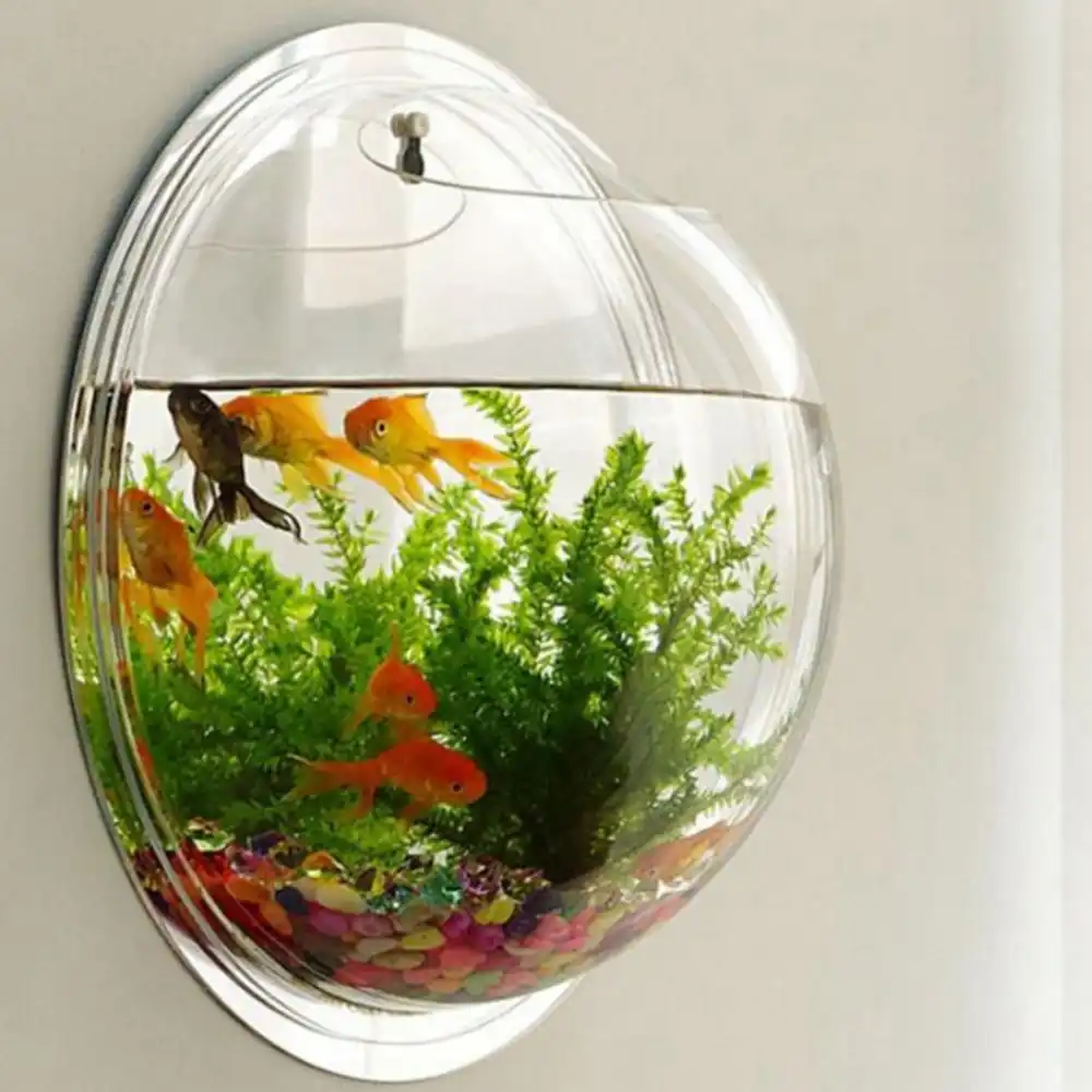 thumbnail image 2 of Wall-Hanging Fish Bowl Acrylic Wall-Mounted Plant Pot 1 11.5 2 of 11