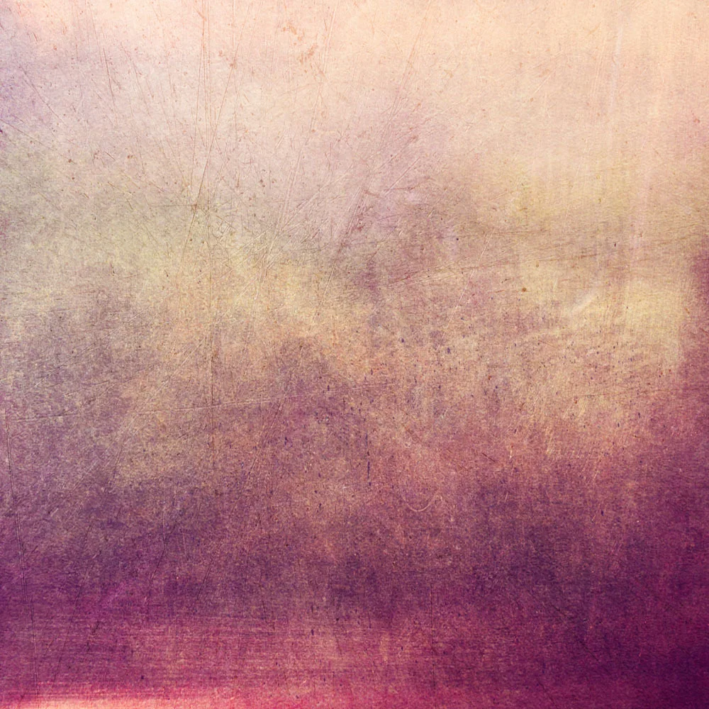 

SHANNY 10x10ft Vinyl Custom Photography Backdrops Prop Vintage Photography Background JVT-170