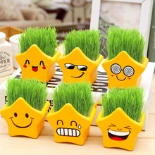 4 Styles Mini DIY Bonsai Originality Funny Mini Flowerpot Office Bonsai Accessories Christmas Gift Flower Seed Plants Potted