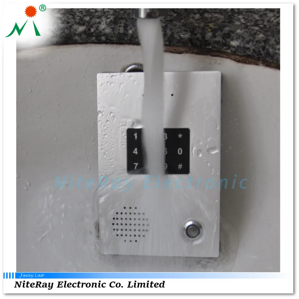 SIP Door phone entry with Keypad to use password to open door