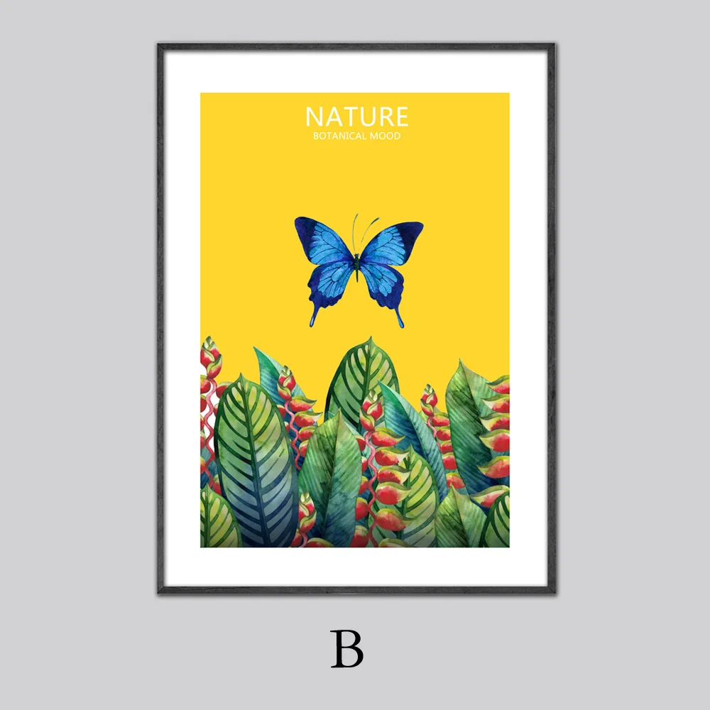 B