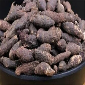 Ngrise 50 gram набор acantopanax Benzoin Cnidium Coydalis Curcuma cynancum Cyperus Dioscorea eupatrium Gynostemma Lysimachia - Цвет: Cyperus rotundus