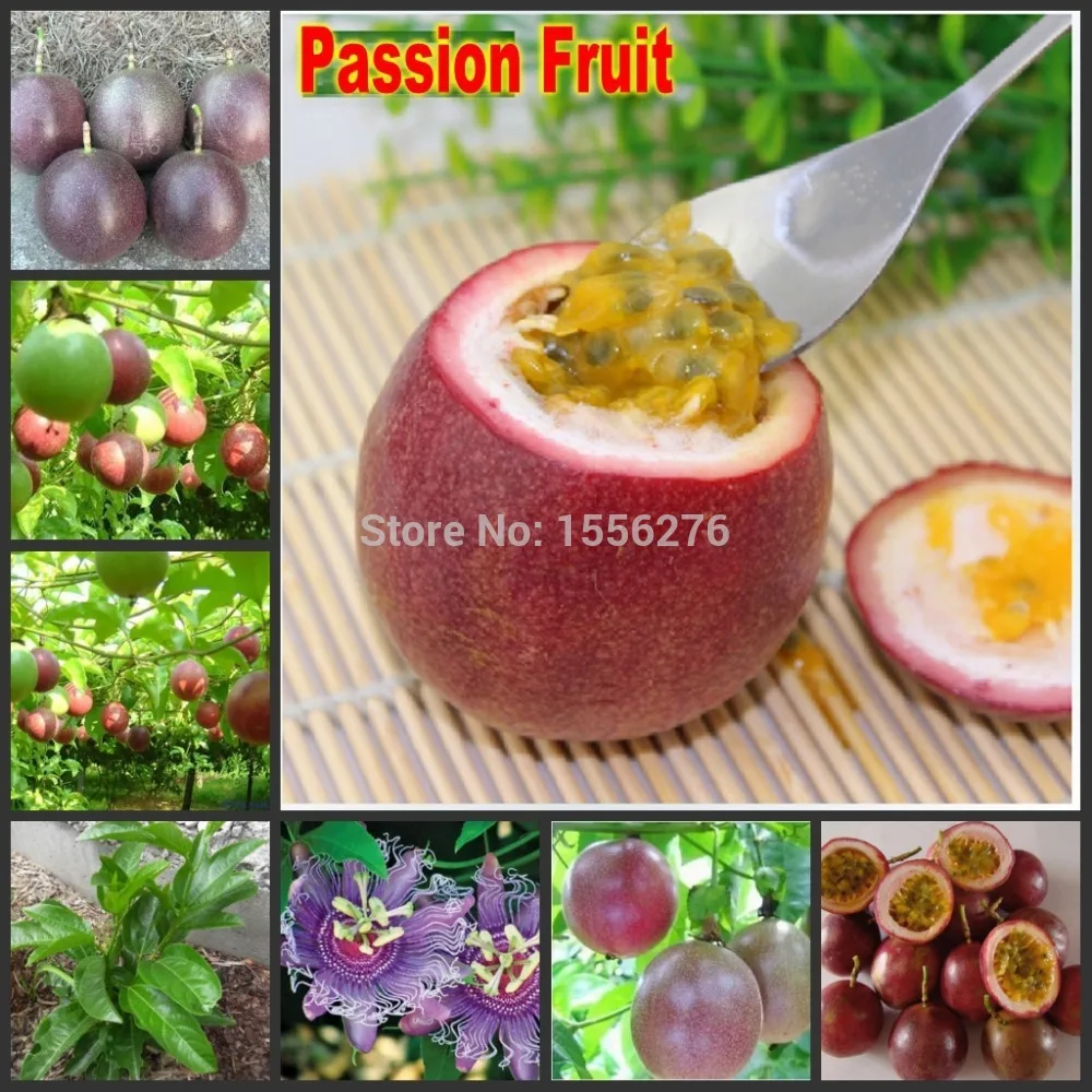 

30pcs 100% Organic Fresh Rare Passiflora edulia Sims / Passion Fruit semillas
