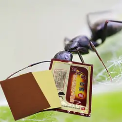 Disaar 100% дикий огонь Ant Venom Эфирные масла дальнего инфракрасного обезболивающее патч для лечения ревматизм артрит Боль Убийца Штукатурка