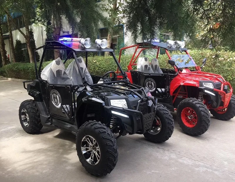 400 UTV, beach buggy (4)