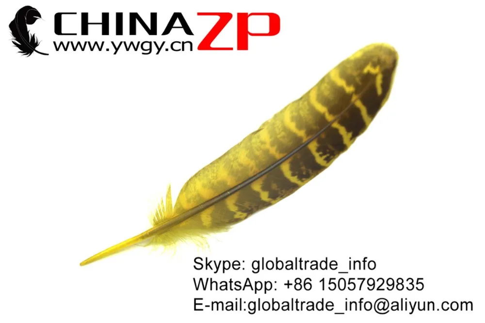 Yellow Ringneck Hen Pheasant Round Quill Wing Feathers (6)