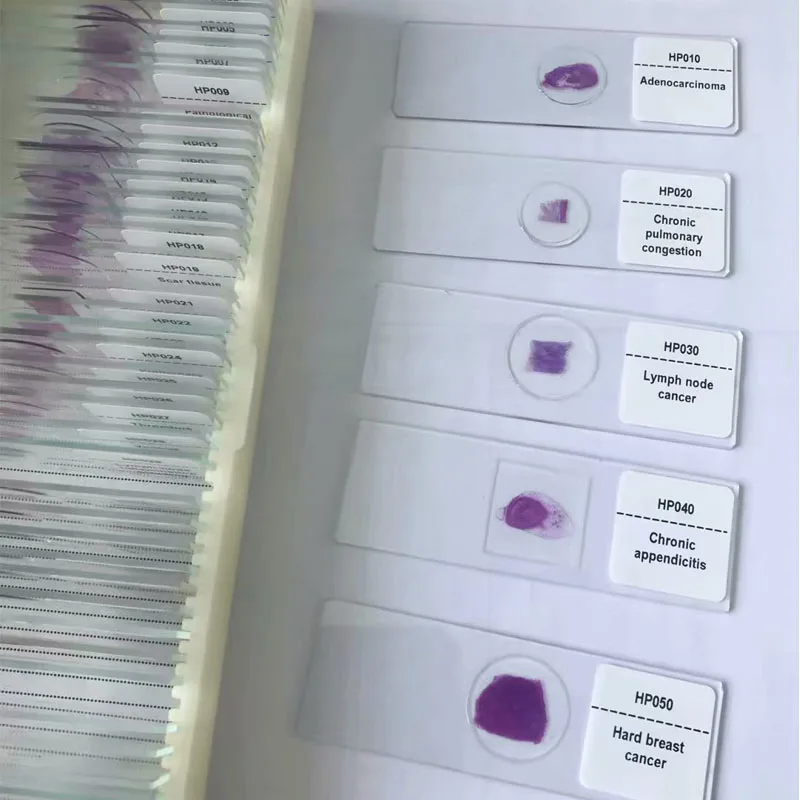 

50pcs Human Pathology microscope prepared slides set