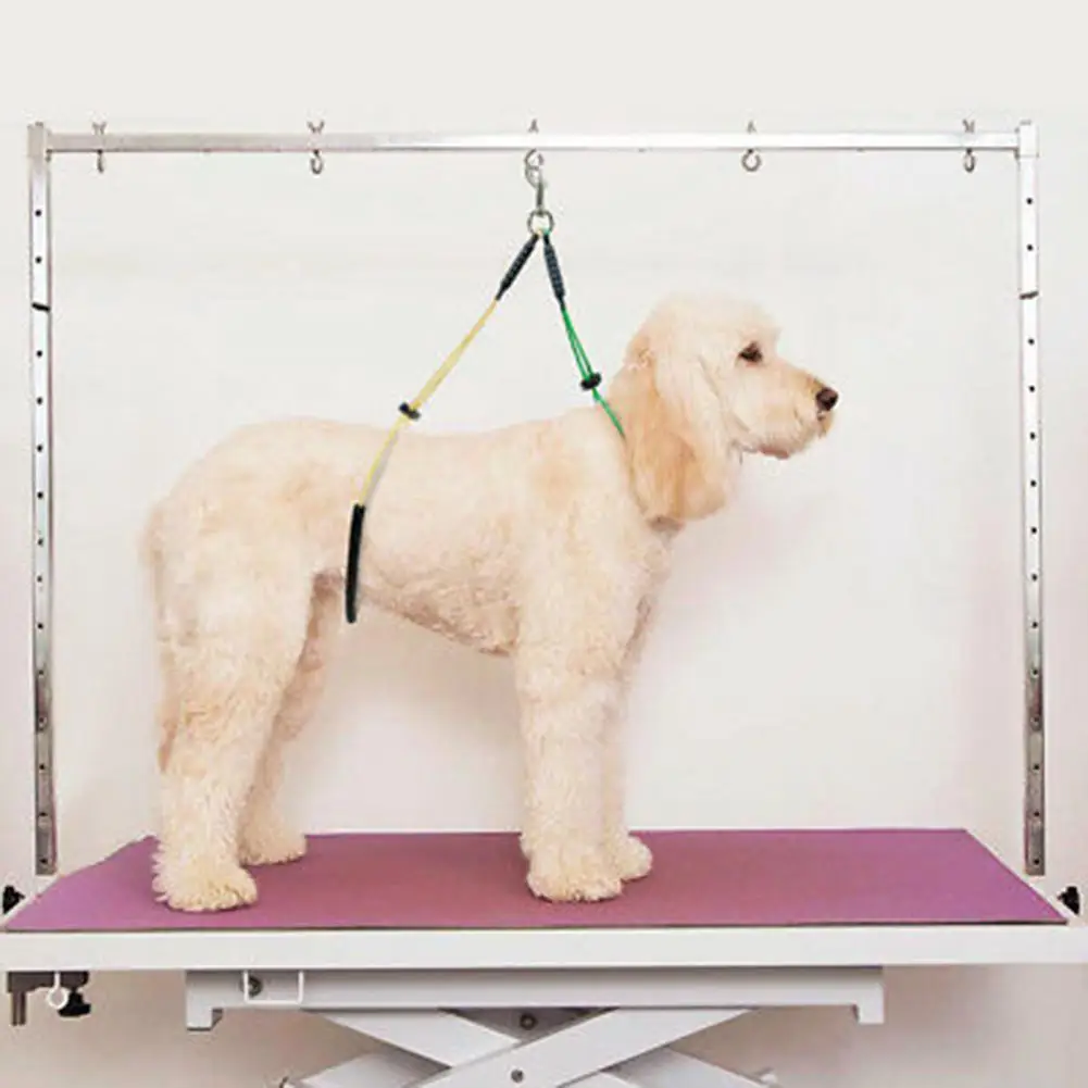 No-Sit Haunch Holder Dog Cat Beauty Tool Grooming Loop Noose Stainless Steel Wire Rope Restraint Noose for Grooming Tables 20E No-Sit Haunch Holder Dog Cat Beauty Tool Grooming Loop Noose Stainless Steel Wire Rope Restraint Noose for Grooming Tables 20E