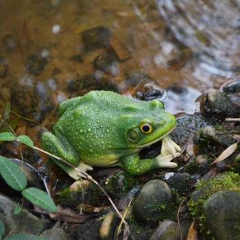 

Frog outdoors Garden garden Ponds and artificial hills create scenes Decorative furnishings Factory direct sale