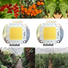 2pcs 50W Watt White Full Spectrum 380~780nm 4500LM 45mil 30V-36V 1600mA SMD LED Chip Diodes For All Stage Plant Grow Light