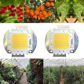 

2pcs 50W Watt White Full Spectrum 380~780nm 4500LM 45mil 30V-36V 1600mA SMD LED Chip Diodes For All Stage Plant Grow Light