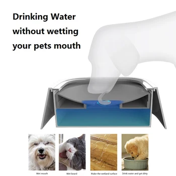 Petshy 1.5L Dog Floating Feeder  2