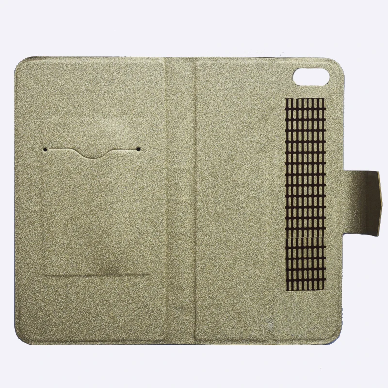 RoverPhone Evo 6.0