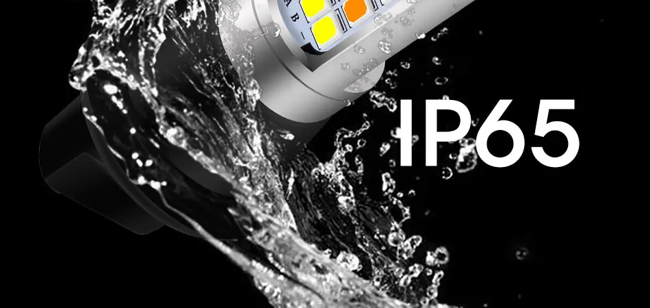 T20-7443-42-SMD-2835-_06