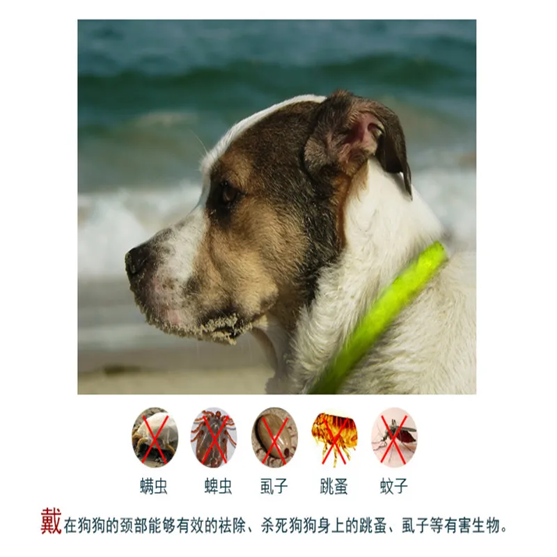 

New Waterproof Non-toxic No Insecticides Collar For Dog Cat Repel Tick Flea Quick Kill Remover Pets Protection Aroma Neck Collar