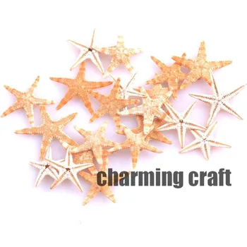 

Natural Starfish Scrapbooking Carft for party Home decoration 50pcs 10-15mm CP0551x