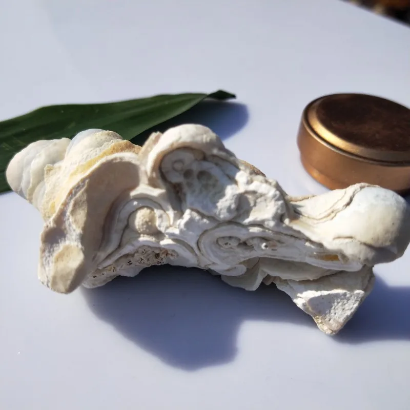 conew_img20190314094321