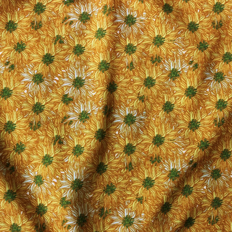 CC01045-5
