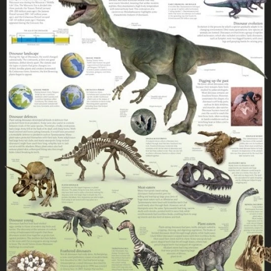 Dinosaurs - Dorling Kindersley Eyewitness Wallcharts Laminated Poster (36 x 24)