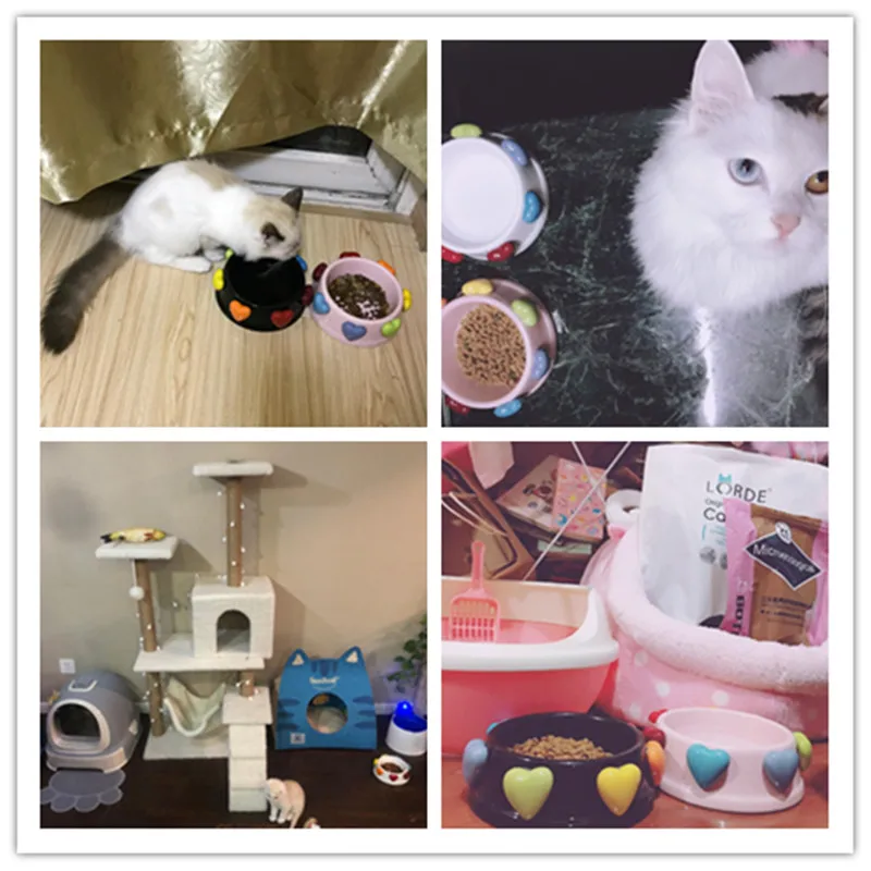 Кошка Собака Керамика s чаши Еда купели принцесса Красочные Сердце кошки собаки