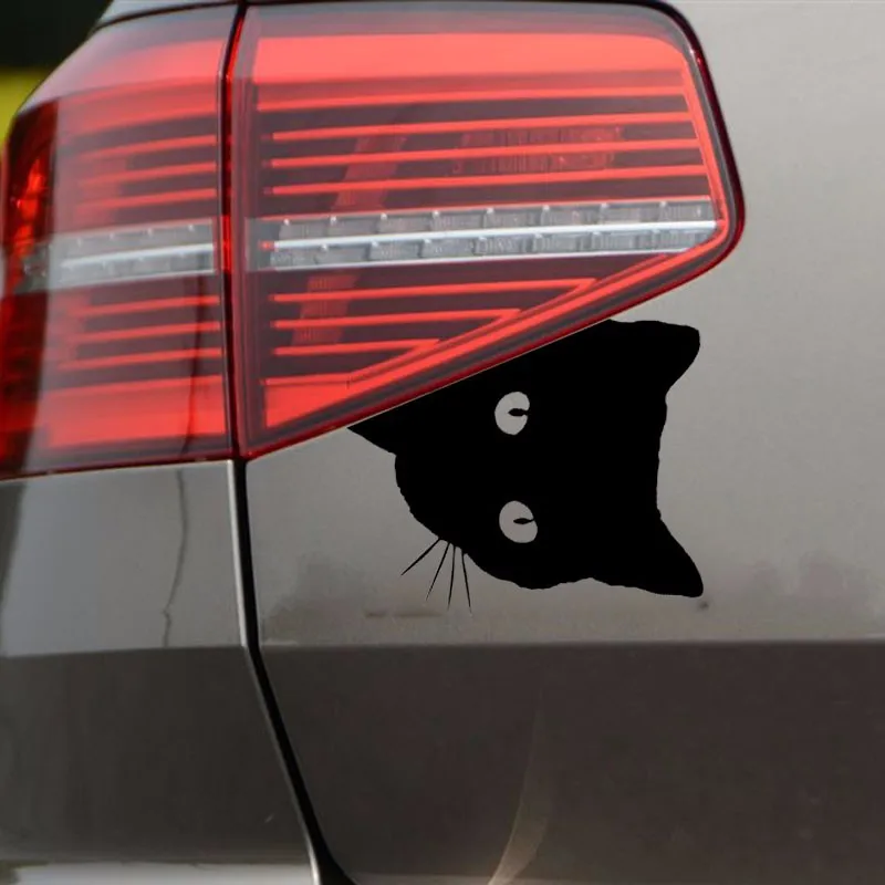 猫とペットのための装飾的なステッカー,車の窓用,12x15cm,C2 0089|car window decals|car stickers  decalswindow decals - AliExpress