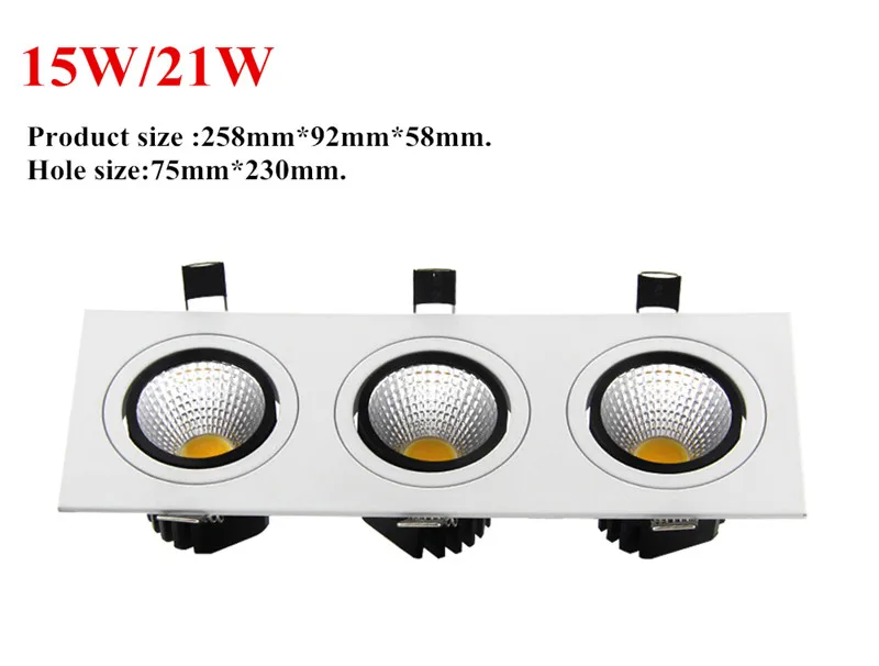 LED Downlight  12