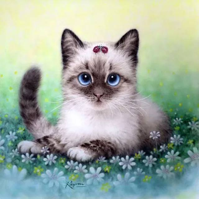 Pittura Diamante Diy Gatto E Fiori Diamante Rotondo Mosaico Home