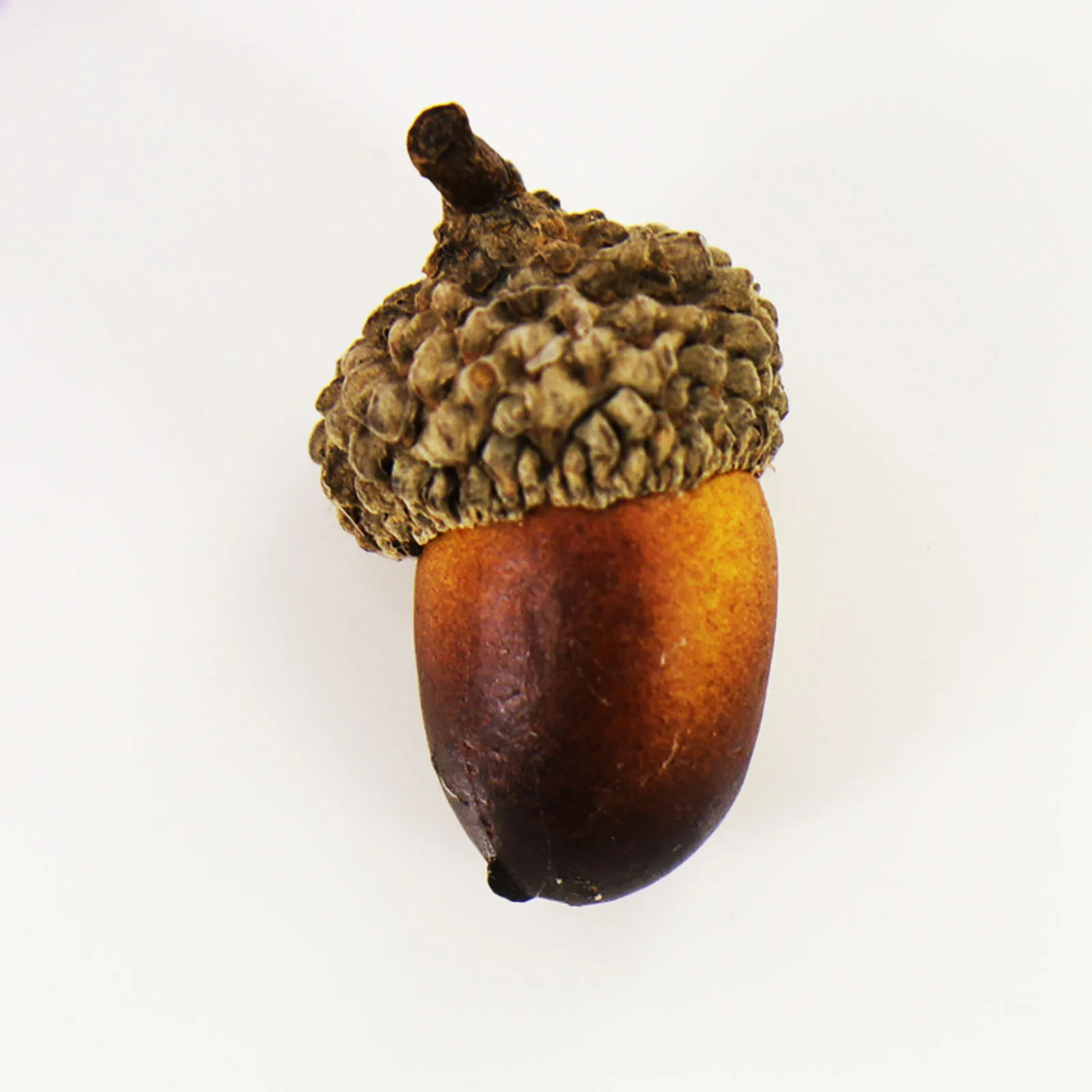 20pcs 3.3x2.3cm Artificial Simulation Small Acorn Plant Decoration Fake Fruit Autumn Home House Kitchen Decor Photography Props