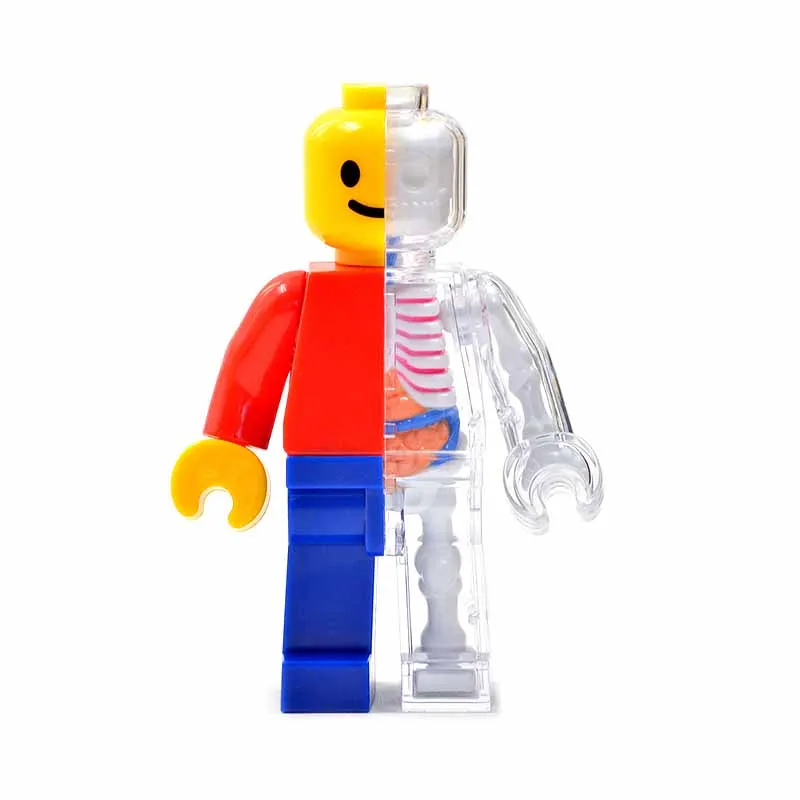 Одна деталь аниме 4D мастер Скелет анатомия модель кирпич человек кукла строительные блоки фигурки взрослых детей наука игрушки подарки - Цвет: Белый