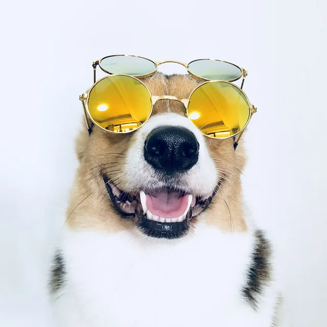 Medium Large Dog Glasses Fashion Eye wear Sunglasses For Cats Christmas