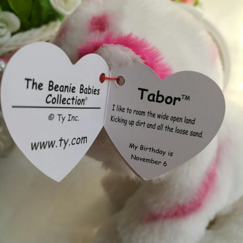 tabor beanie boo birthday
