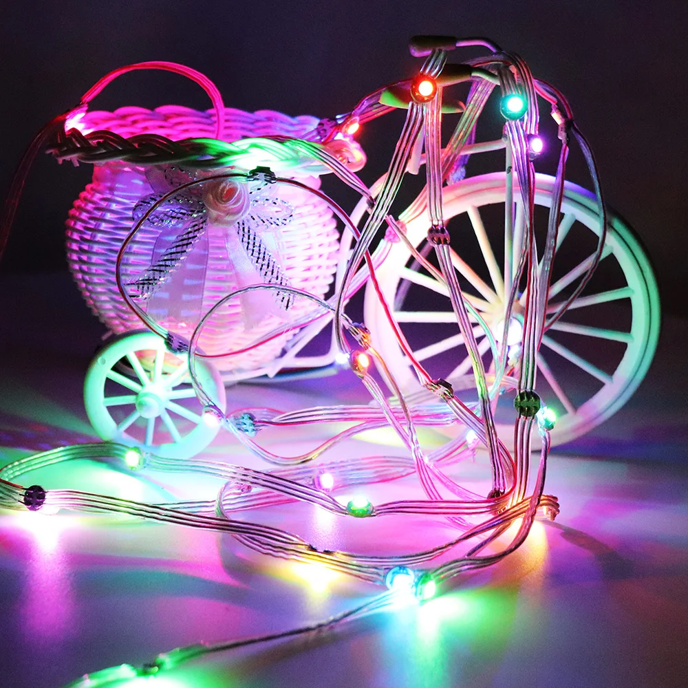 WS2812 Light String L844 (7)