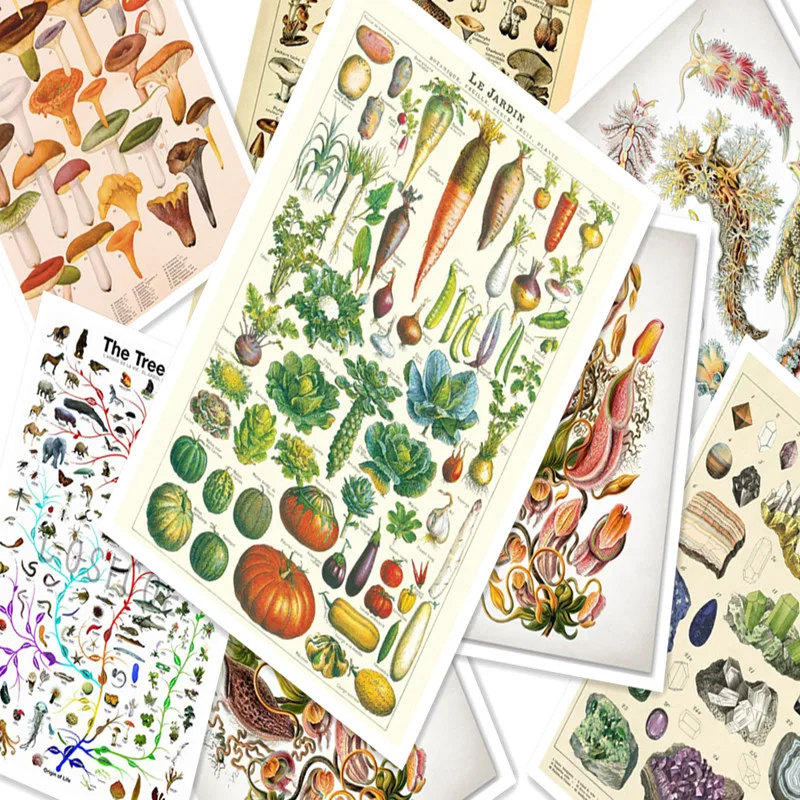 

Vegetable Plant Animal Ccience Poster Retro Kraft Paper Poster Wall Stickers Wallpaper Painting Prints Art Room Decoration