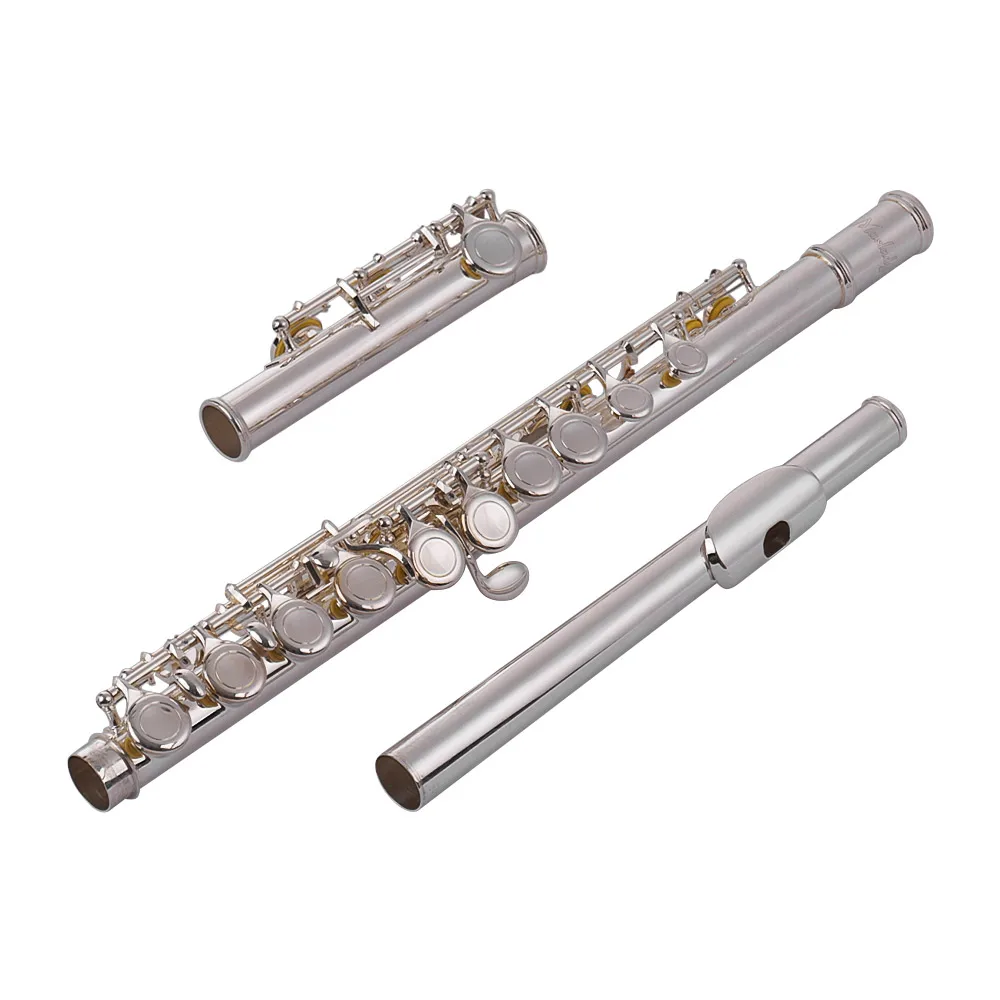 16 закрытых отверстий набор Woodwind Instrument C Key Flutes Cupronickel посеребренный с чистящей
