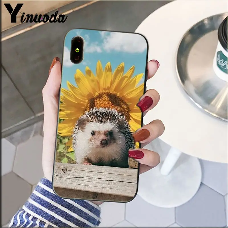 Hedgehog Cute in Teacup Animal Art