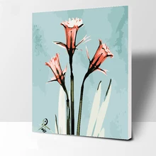 Картина Morning glory живопись по номерам Современная Настенная художественная ручная роспись цифровая картина маслом на холсте для украшения дома