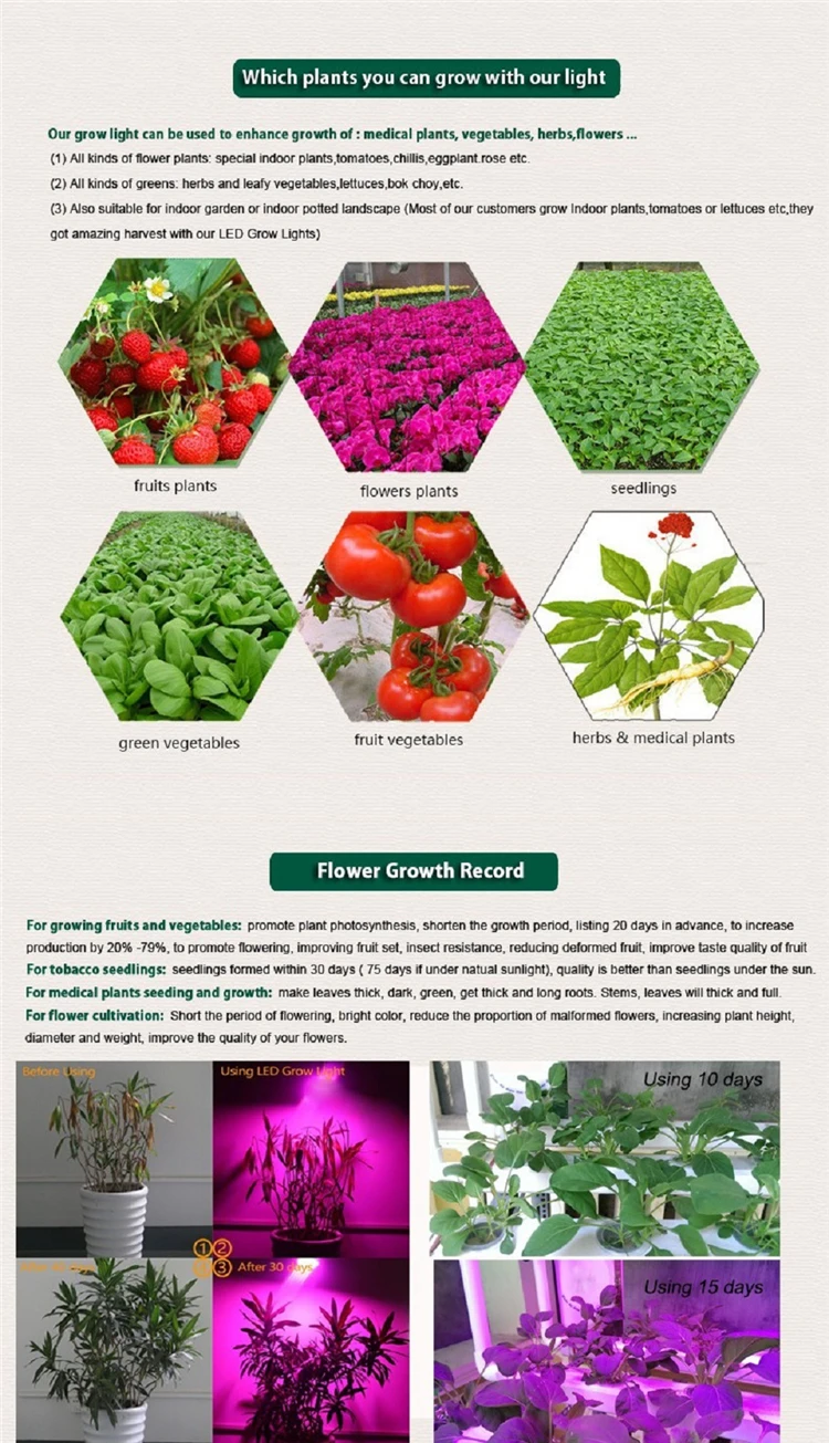 9875708356_291392640