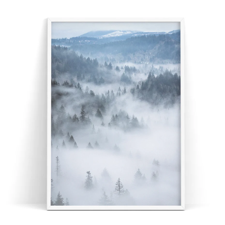 color_opt_7