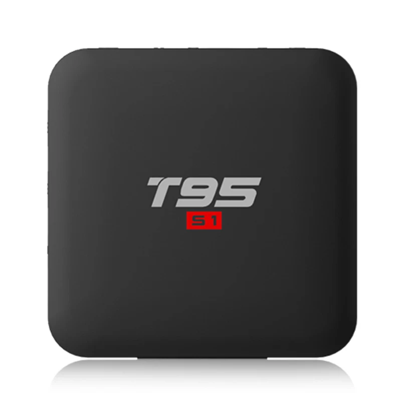 t95s1