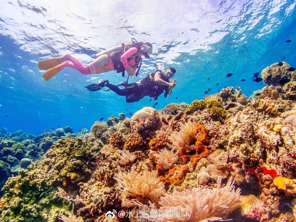 Hisea мм 2 мм чулки для дайвинга неопреновые носки для подводного плавания Нескользящие гольфы для дайвинга Защита ног и ног