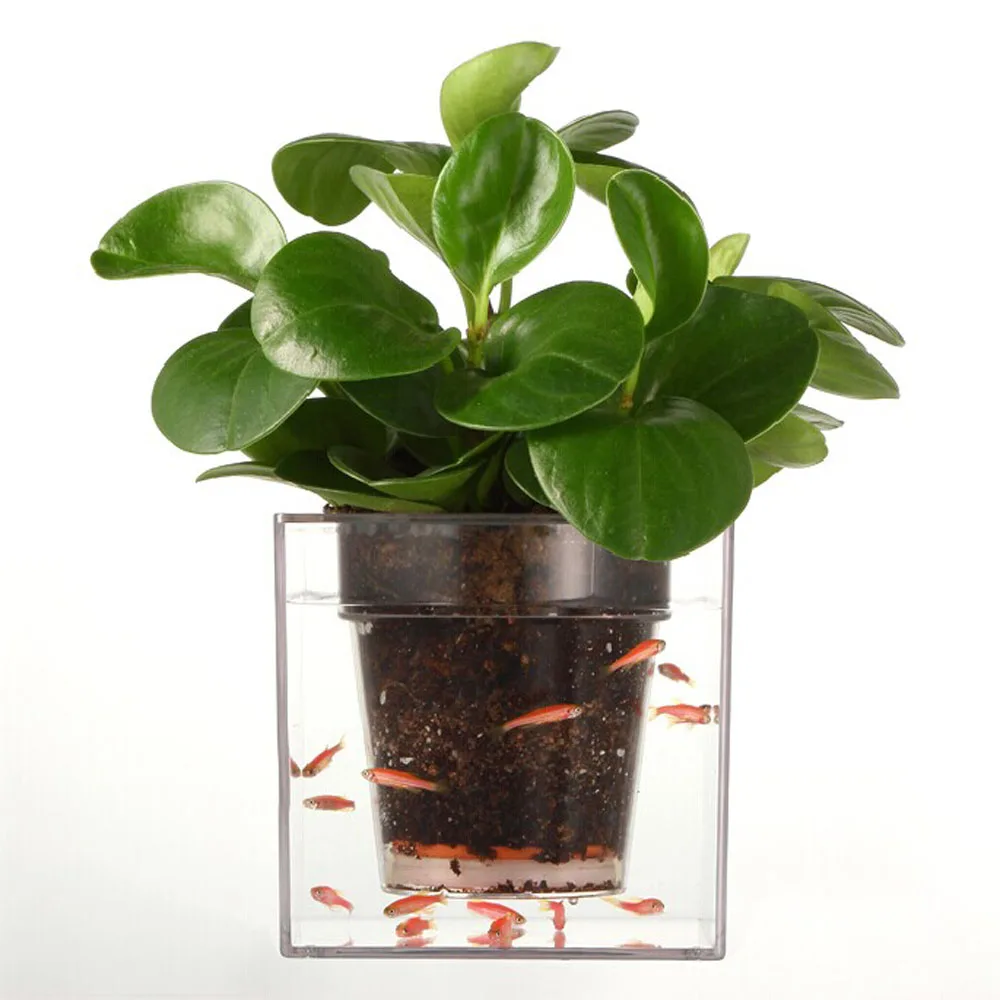 1 Piece Clear Tube Plant Pot Flower Pot Self Watering Planter Fish Tank