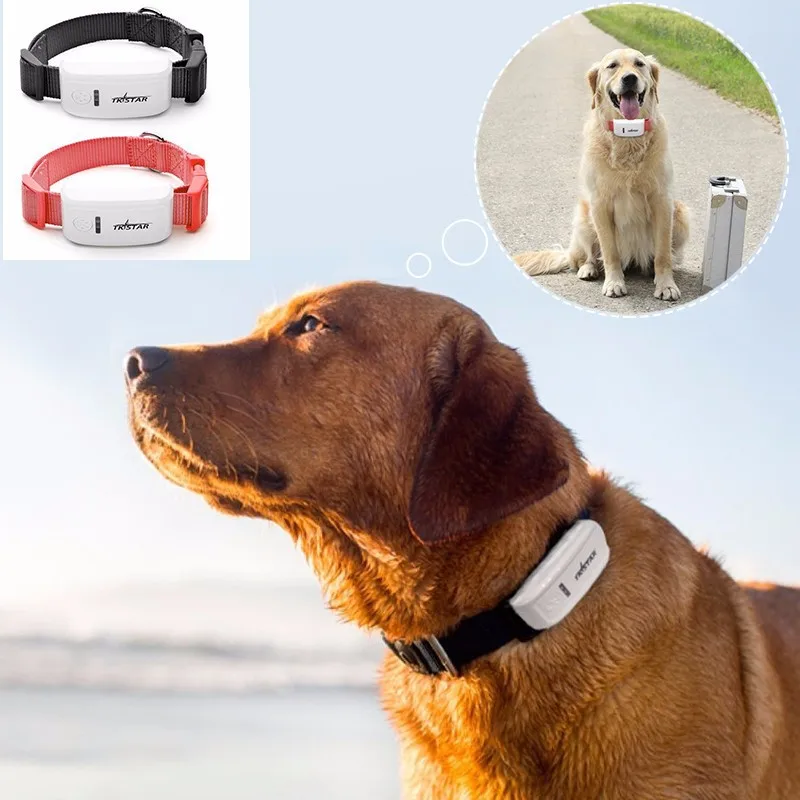 

Tkstar TK909 Mini pet tracker gps collar for cats dog gps locator gsm gprs tracker Monitor Tracking Free APP Free Web Tracking