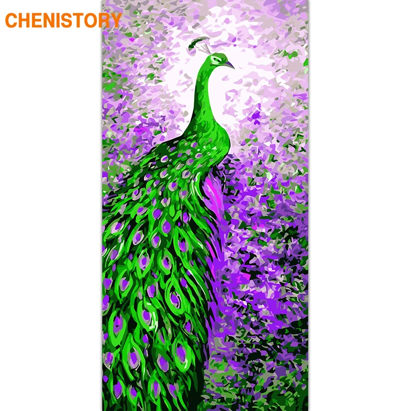 

CHENISTORY Large Size Frame 60x120cm DIY Painting By Numbers Peacock Animals Acrylic Paint By Numbers Calligraphy Painting Arts