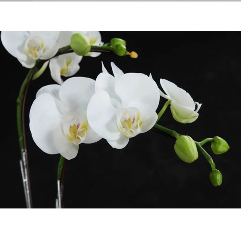 

White butterfly orchid Diamond painting cross stitch Kit 45*30cm Full coverage 3d square diamond mosaic Diy Diamond embroidery