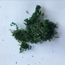 Мин. Заказ 3,5$ Цветочные художественные аксессуары искусственный зеленый лист трава мох Цветочная композиция DIY исходный материал искусство