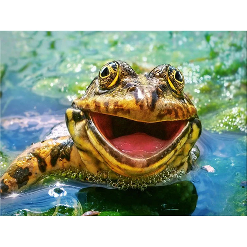 YIKEE diamond painting Frog,diamand painting complet,diamond painting