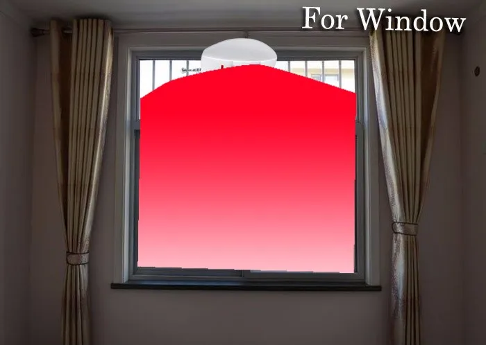 12 (2)