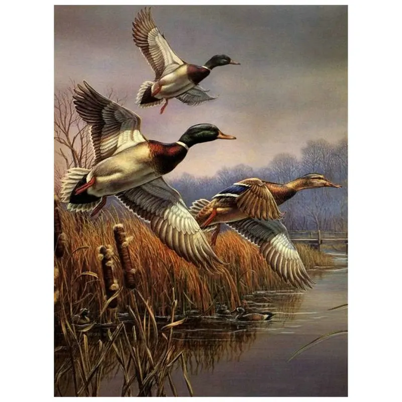 

Full Diamond Embroidery wild duck Diy 5d Diamond Painting Cross Stitch Square Rhinestone Pattern Needlework animal mosaic arts